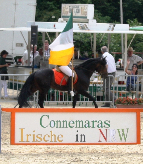 Bourbon unerschütterlich